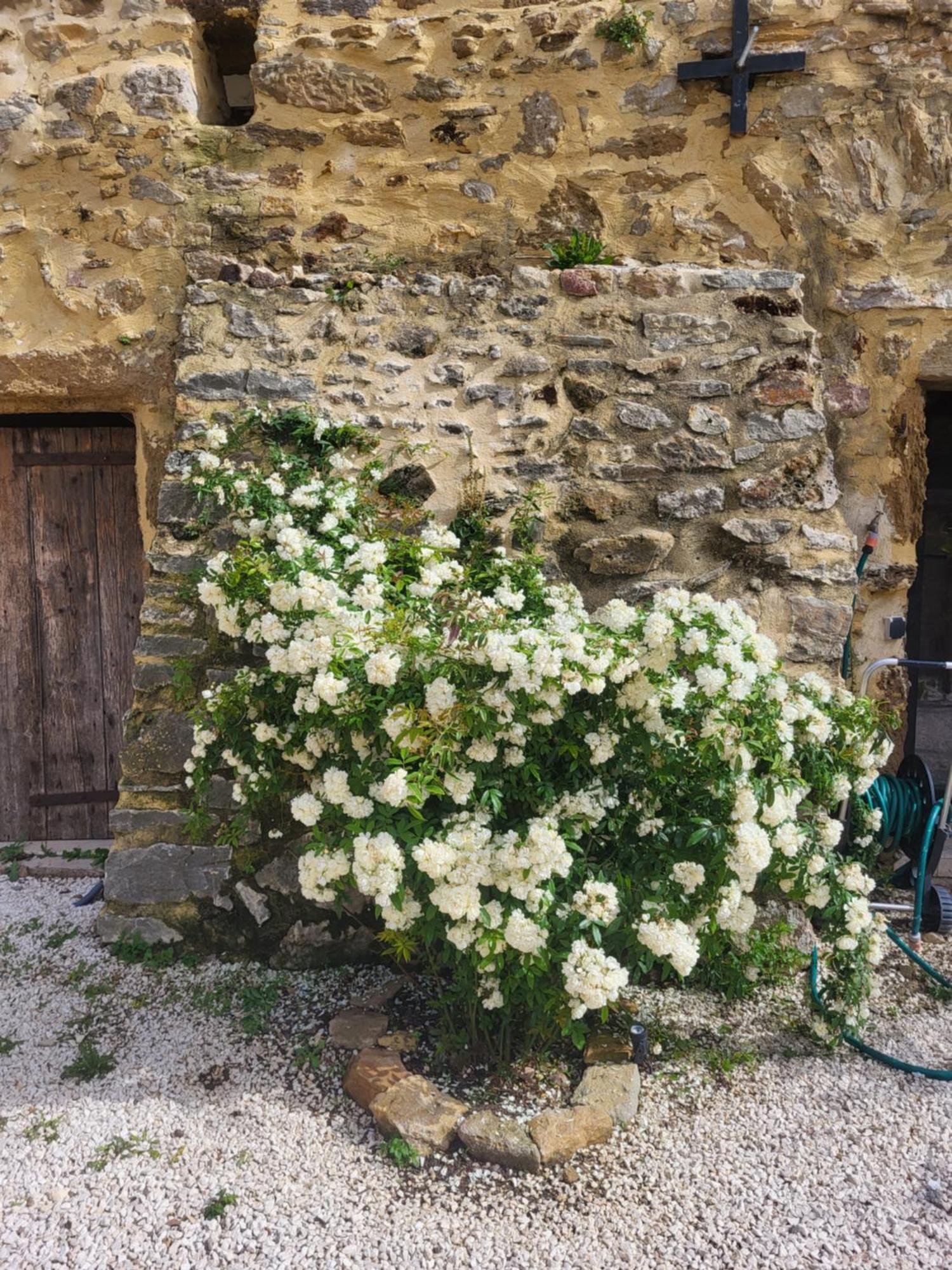 Bastide De La Madeleine Bed & Breakfast Pougnadoresse ภายนอก รูปภาพ